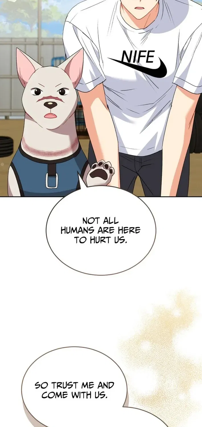 Veterinarian! Hello? Chapter 119 – Page 62
