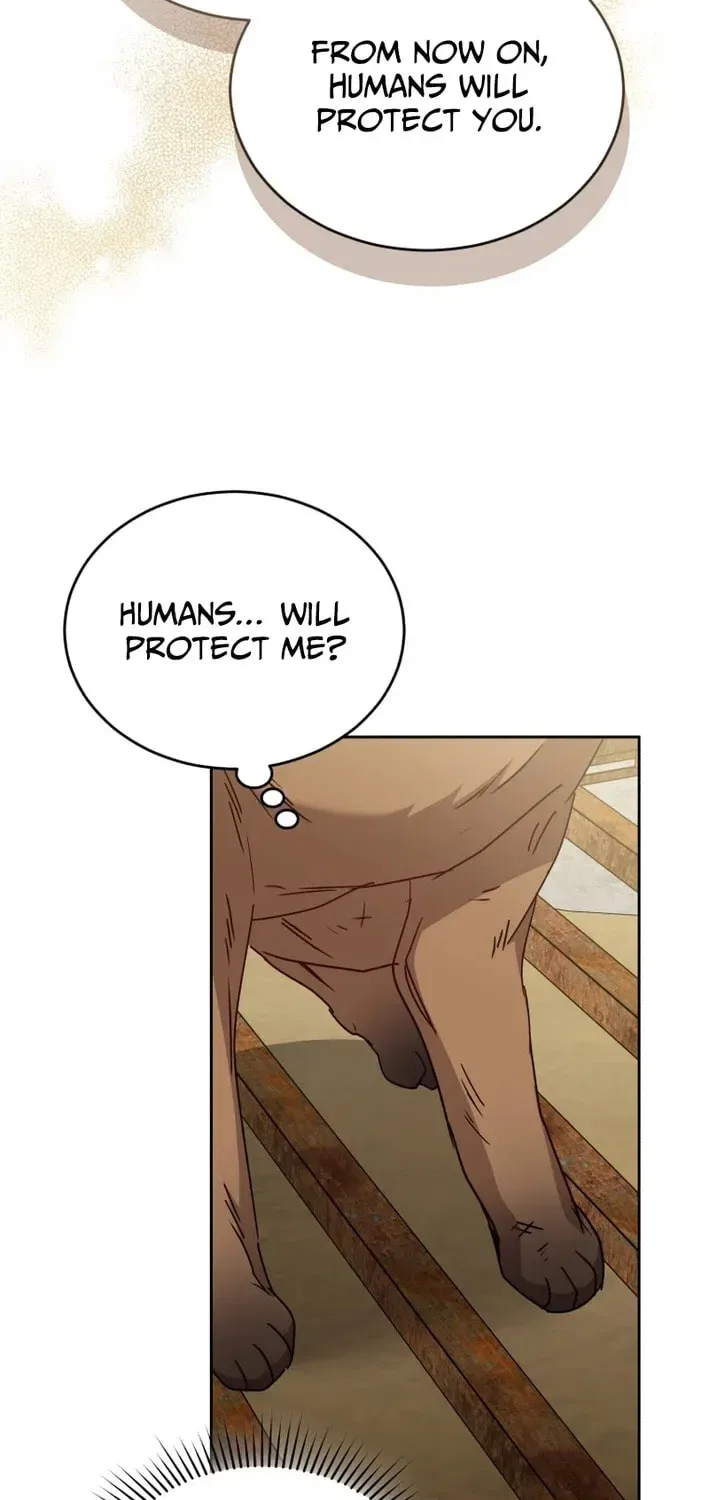 Veterinarian! Hello? Chapter 119 – Page 63
