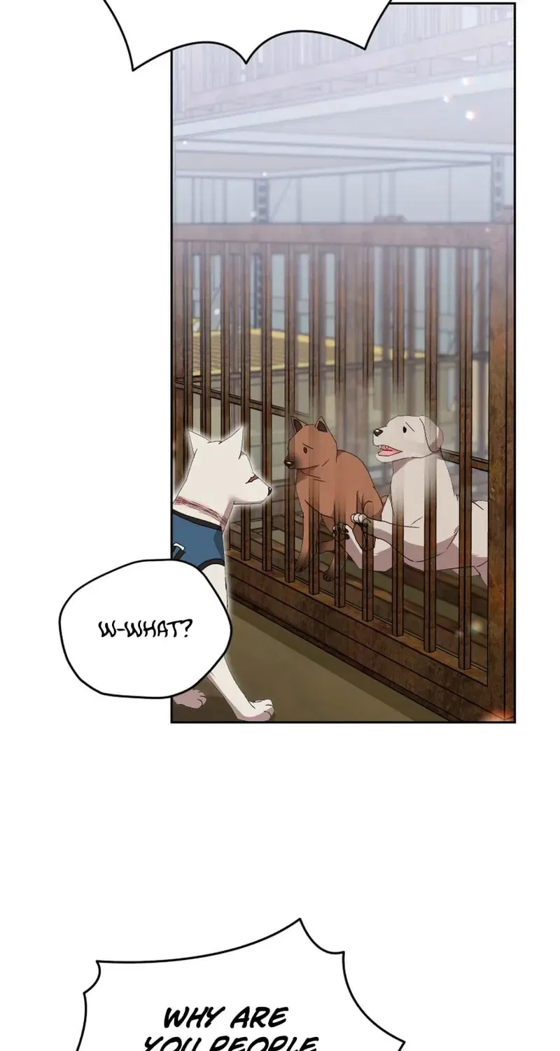 Veterinarian! Hello? Chapter 118 – Page 41