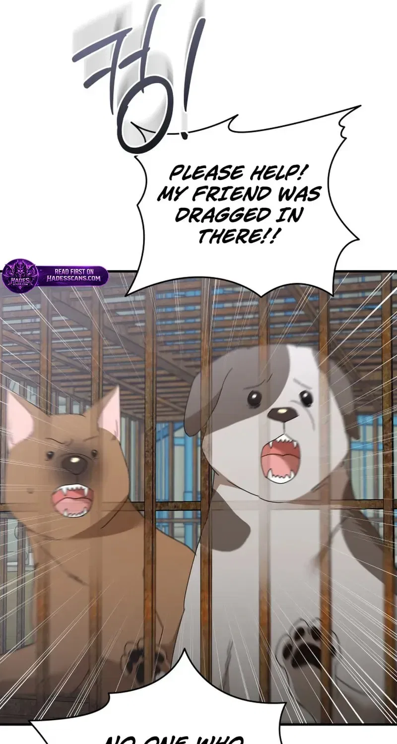 Veterinarian! Hello? Chapter 118 – Page 60
