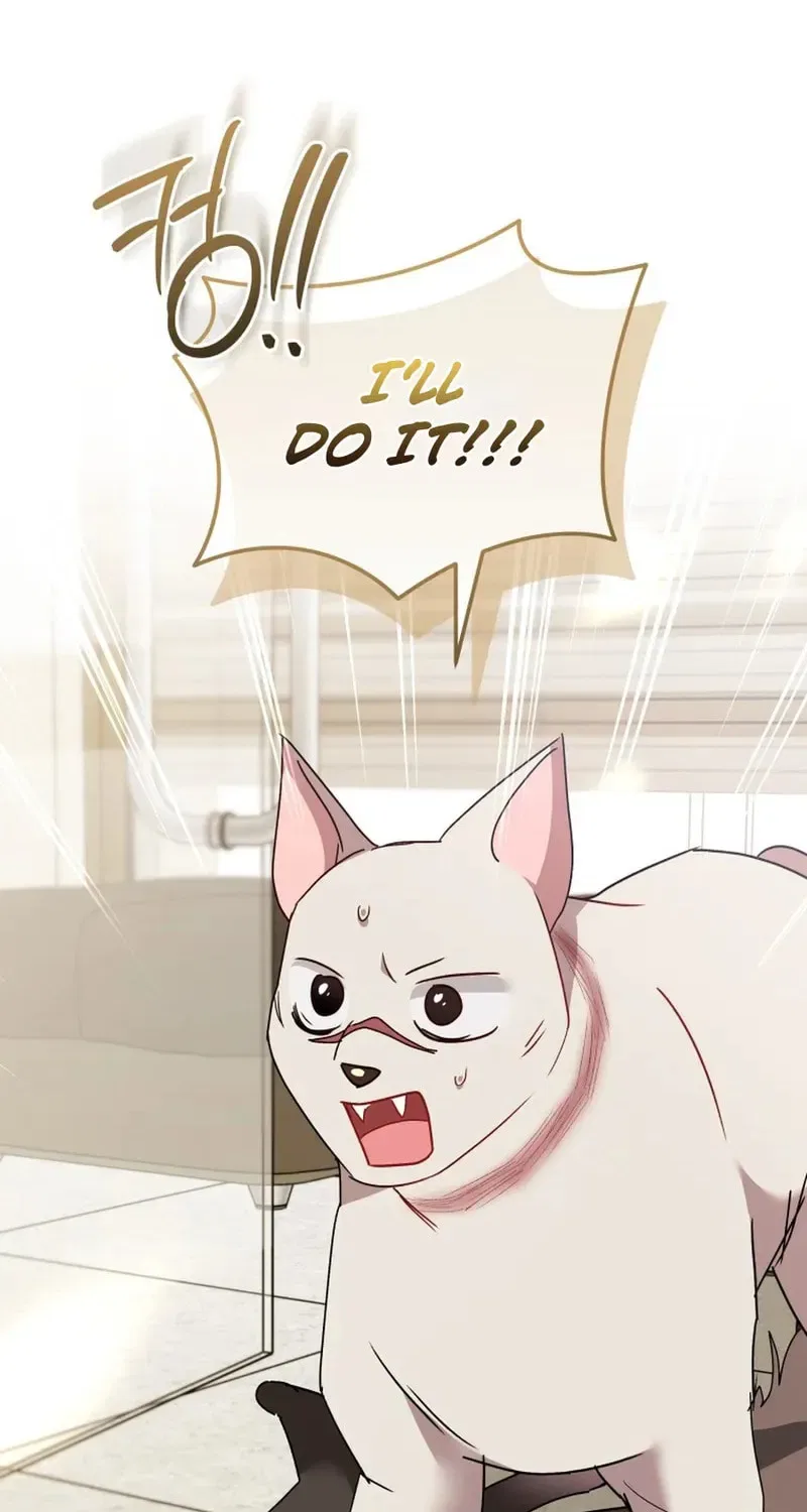 Veterinarian! Hello? Chapter 117 – Page 4