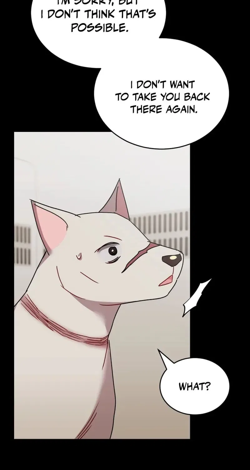 Veterinarian! Hello? Chapter 117 – Page 14