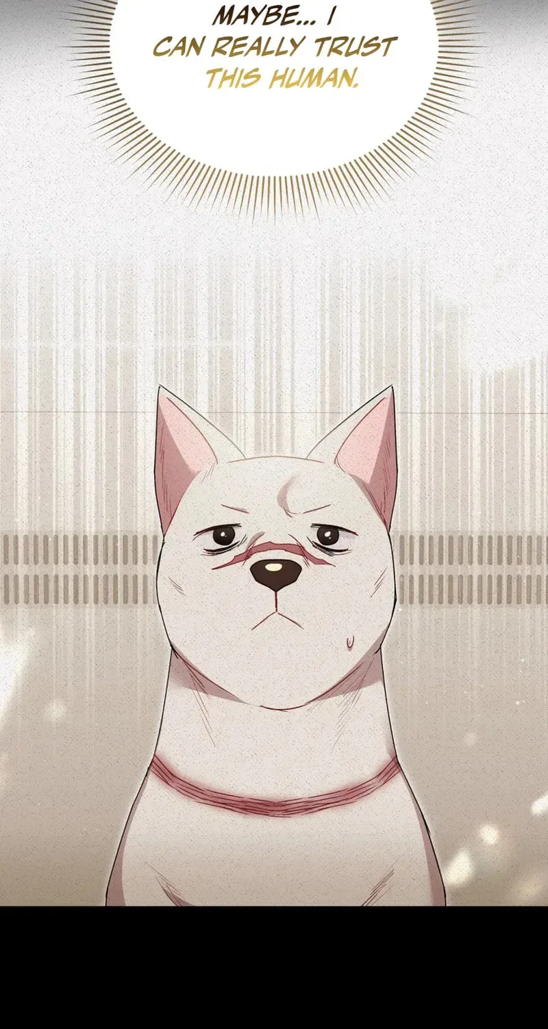 Veterinarian! Hello? Chapter 117 – Page 18