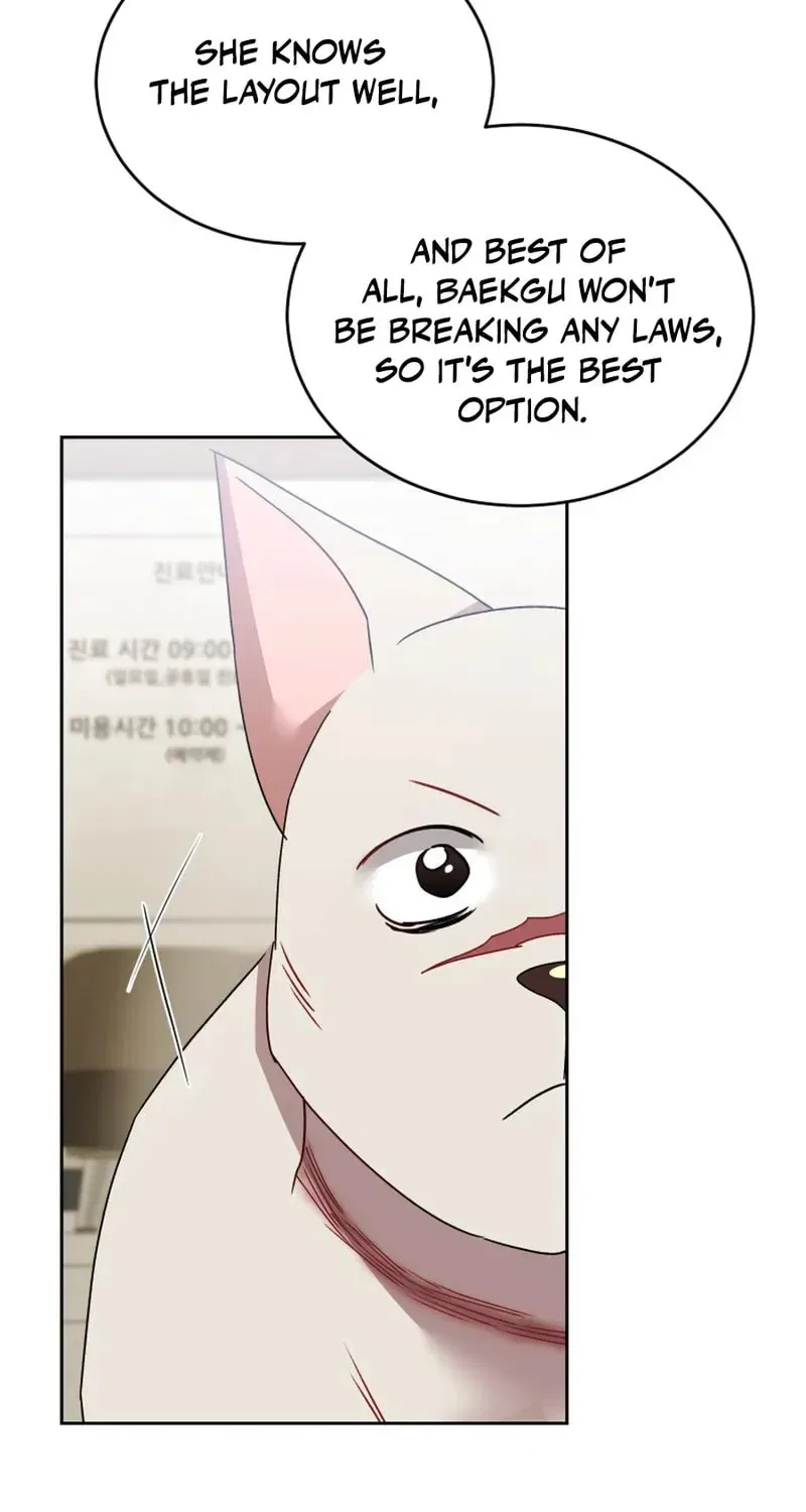 Veterinarian! Hello? Chapter 117 – Page 27