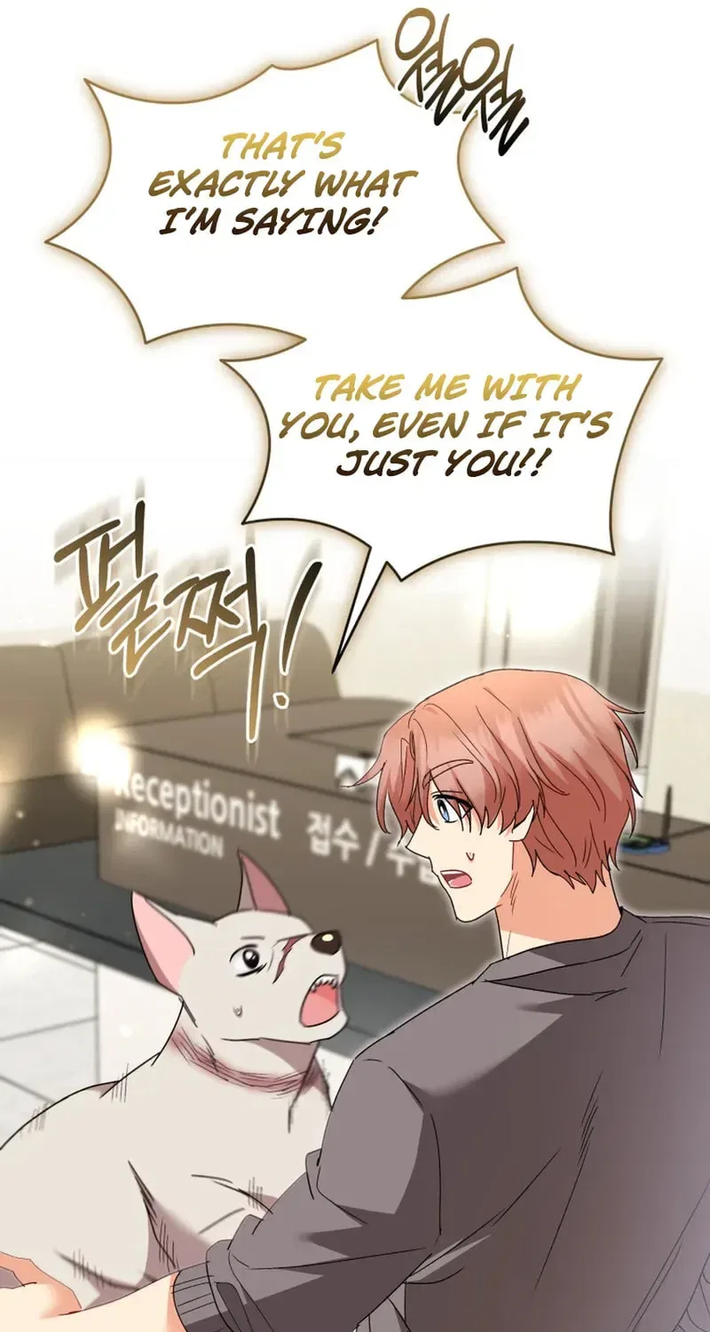 Veterinarian! Hello? Chapter 117 – Page 29