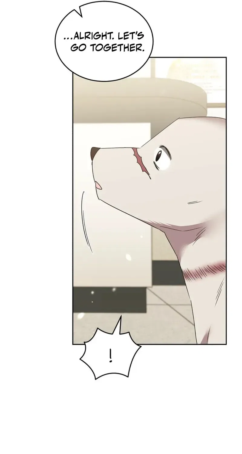 Veterinarian! Hello? Chapter 117 – Page 46