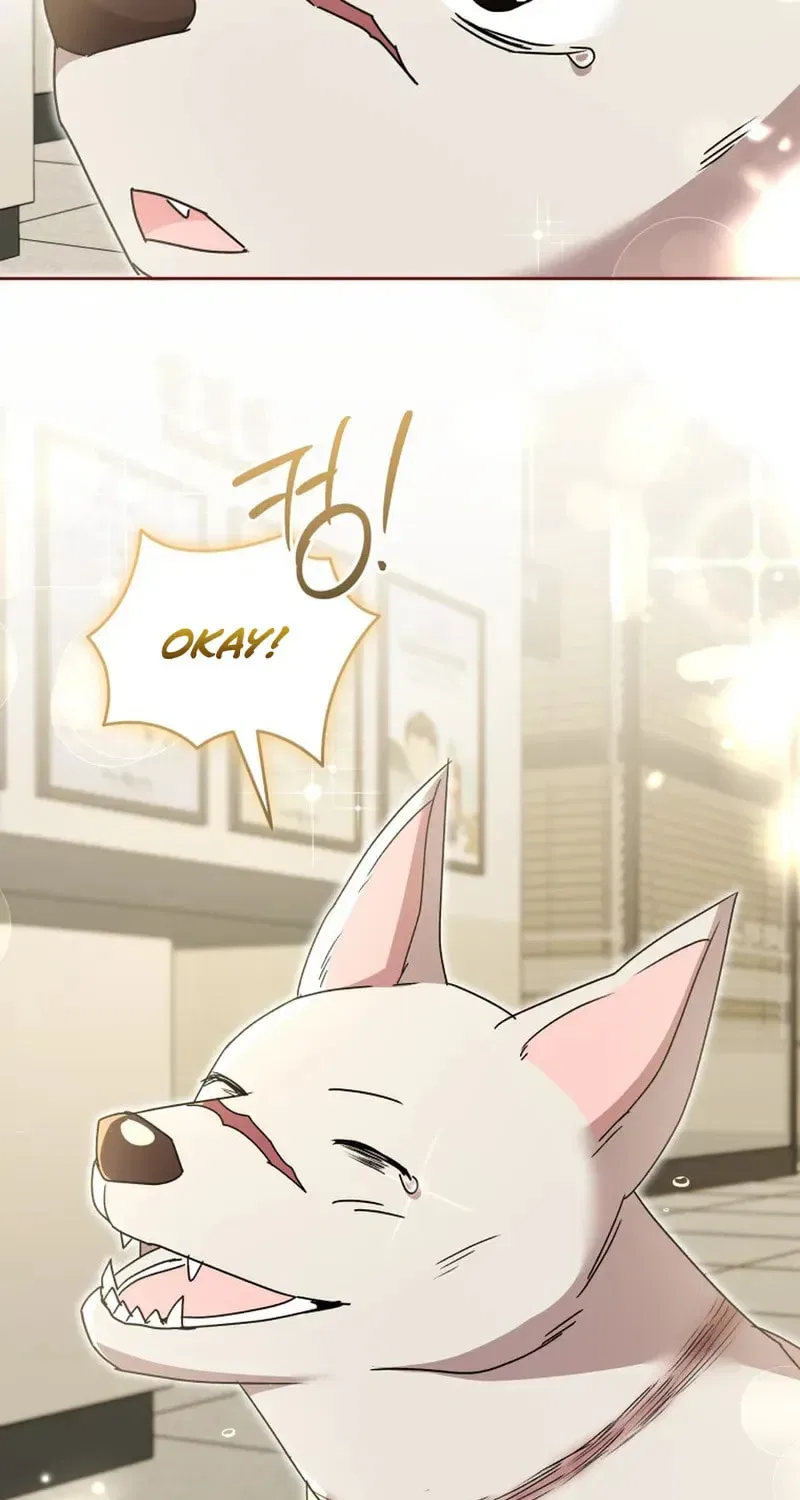 Veterinarian! Hello? Chapter 117 – Page 50