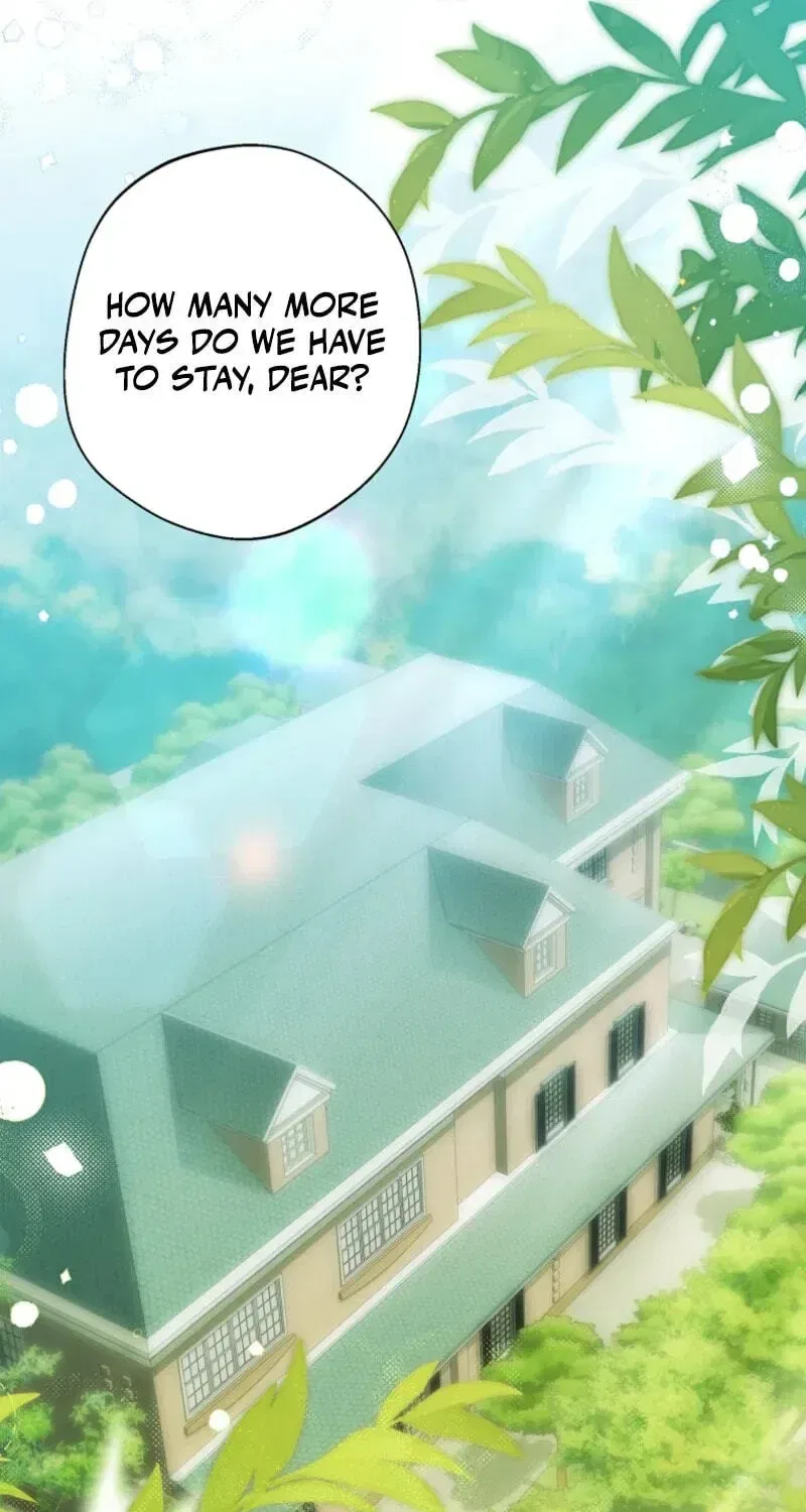 Why Are You Obsessed With Your Fake Wife? Chapter 105 – Page 71