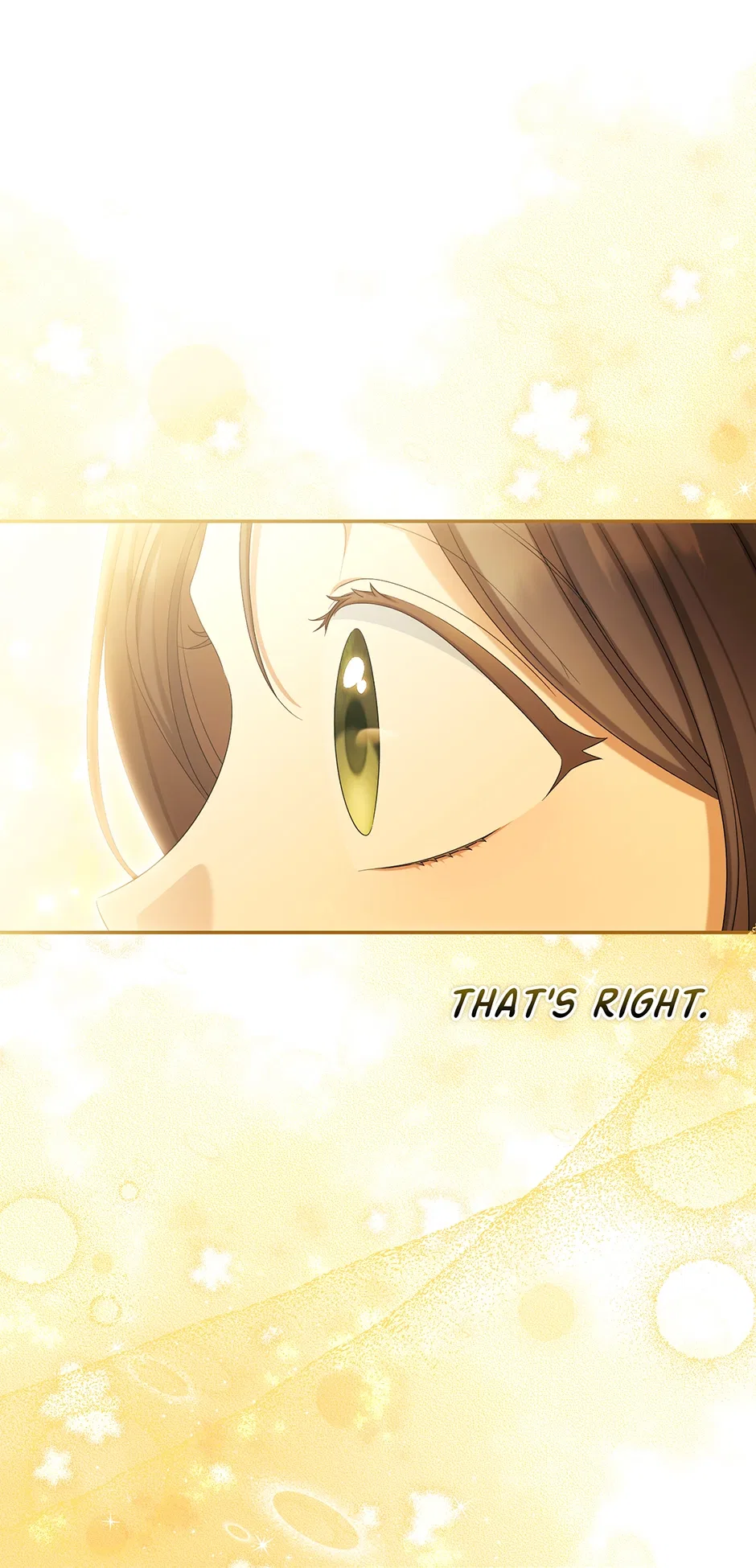 Why Are You Obsessed With Your Fake Wife? Chapter 103 – Page 65