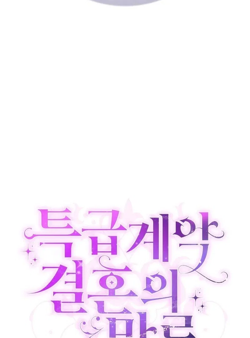 In the Name of Special Contract Marriage Chapter 28 – Page 17