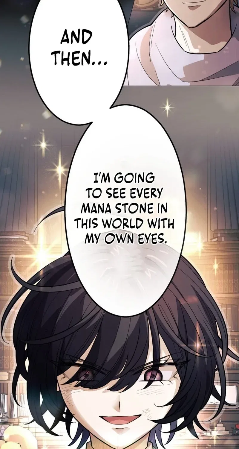 The Divine-Eyed Grimoire Mage: Jewel Saga Chapter 12 – Page 46