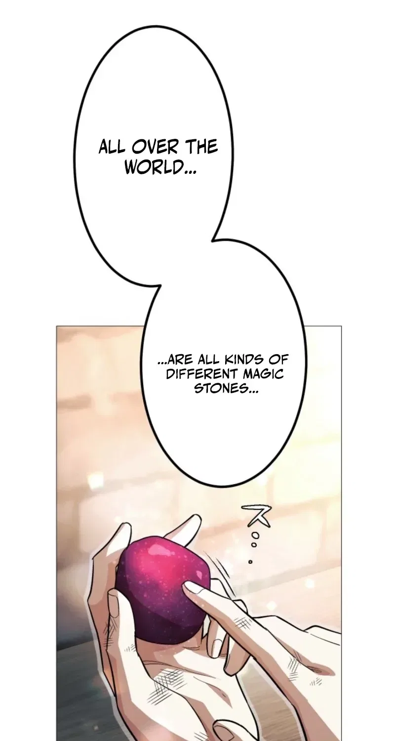The Divine-Eyed Grimoire Mage: Jewel Saga Chapter 1 – Page 91