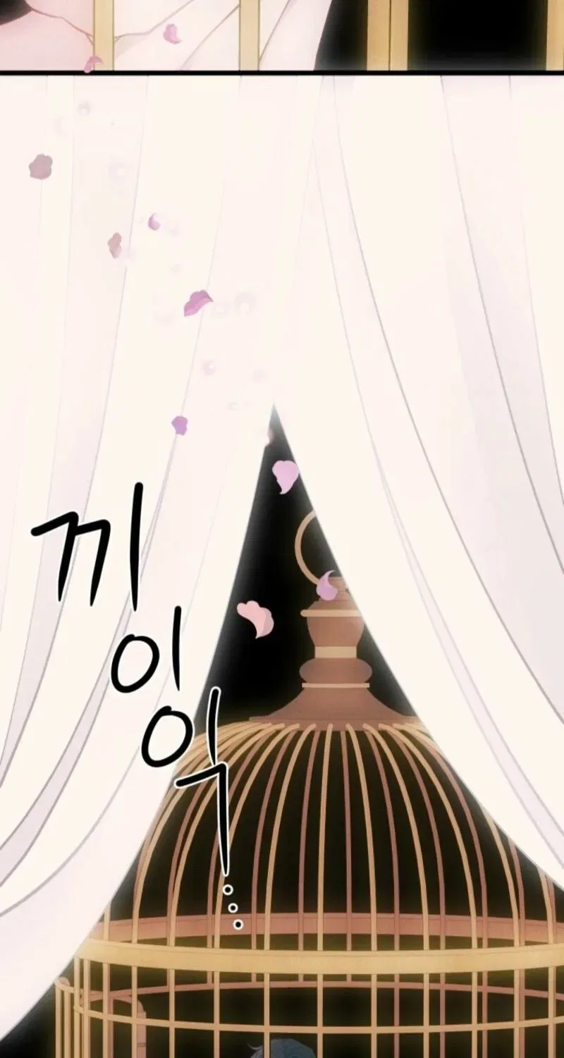 Gyeongseong Lingerie Dressing Room Chapter 11 – Page 20