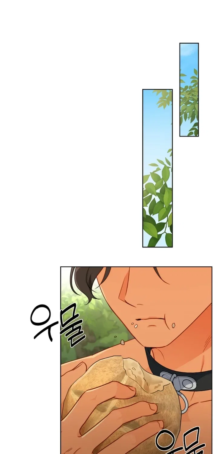 Males In The Breeding Room Chapter 20 – Page 46