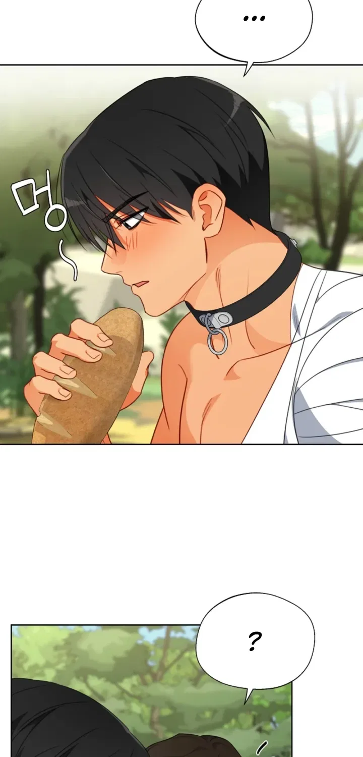 Males In The Breeding Room Chapter 20 – Page 48
