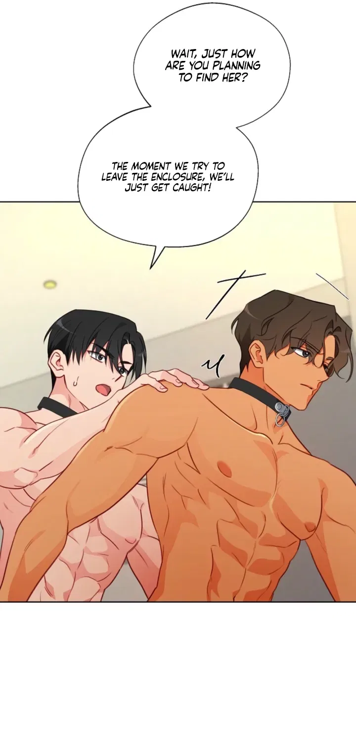 Males In The Breeding Room Chapter 18 – Page 43