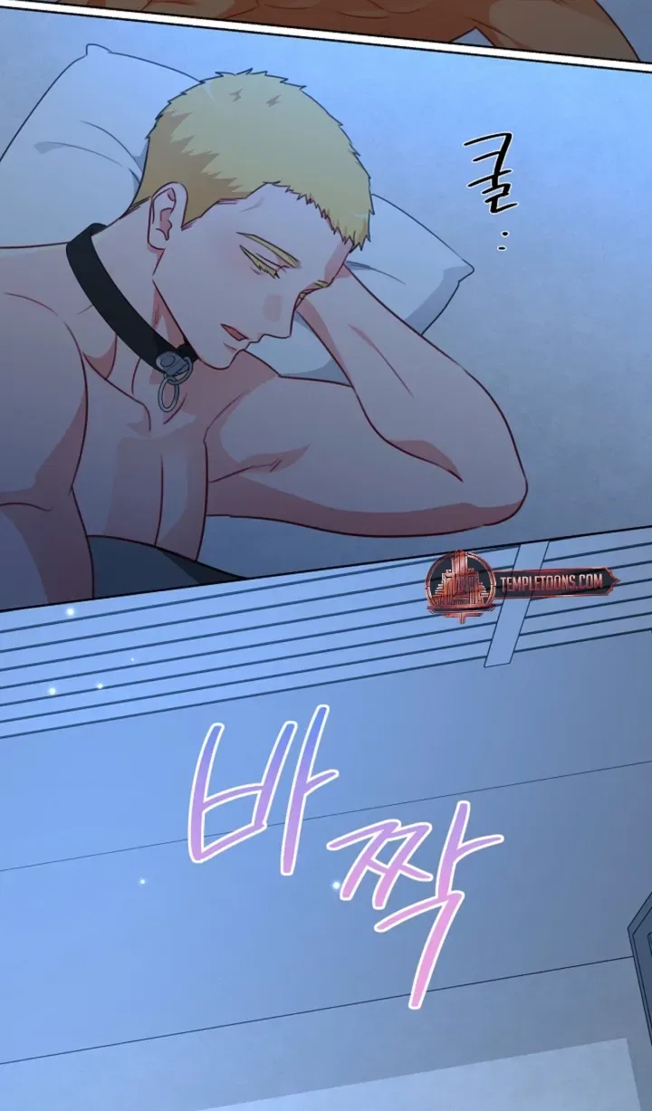 Males In The Breeding Room Chapter 18 – Page 66