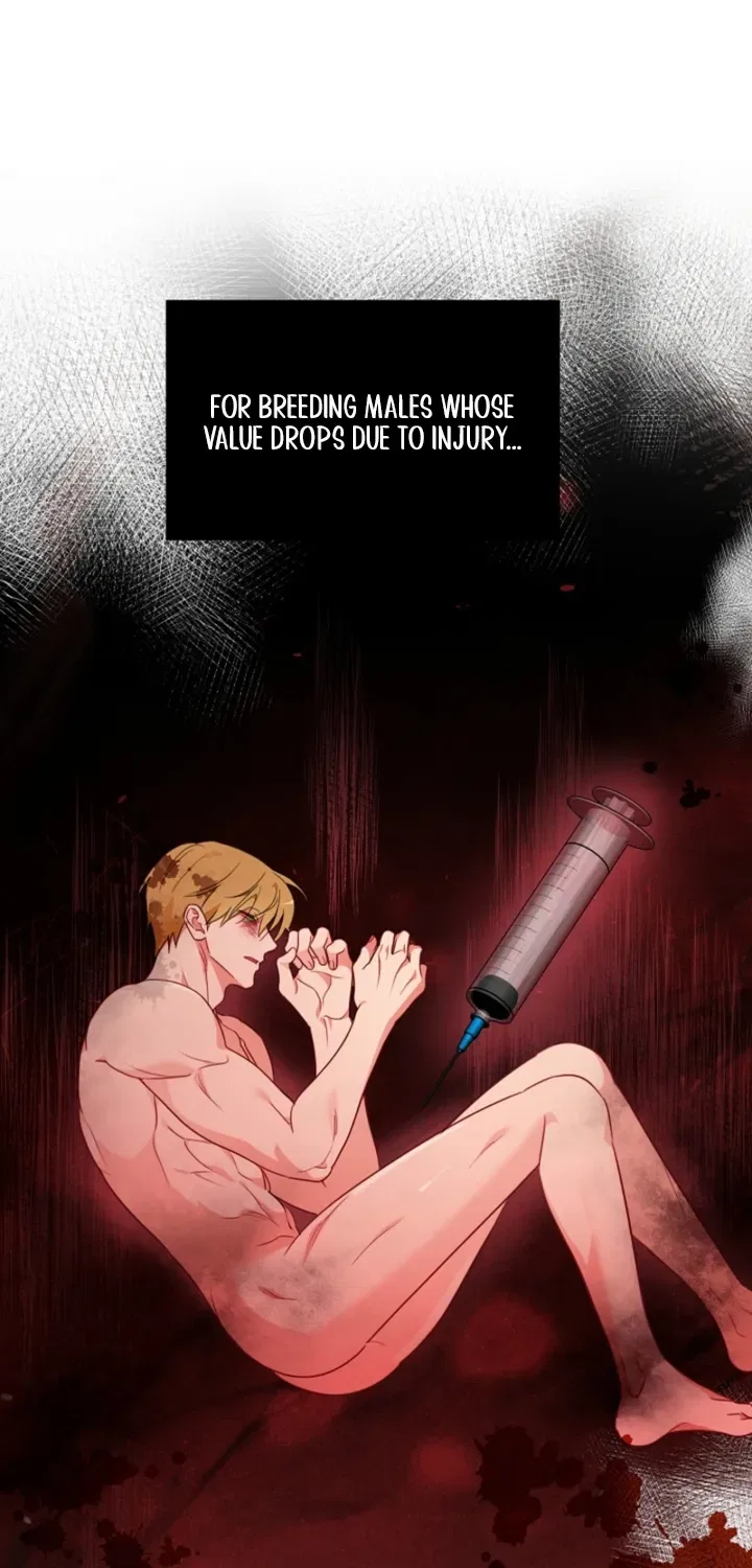 Males In The Breeding Room Chapter 17 – Page 46