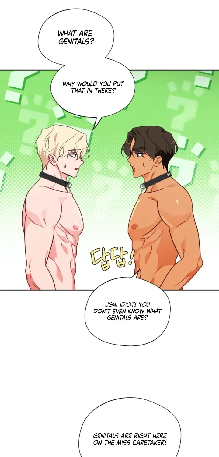 Males In The Breeding Room Chapter 15 – Page 20