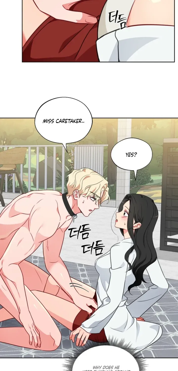 Males In The Breeding Room Chapter 13 – Page 53