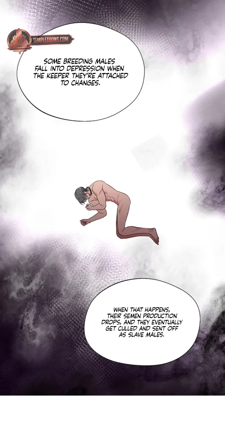 Males In The Breeding Room Chapter 12 – Page 26