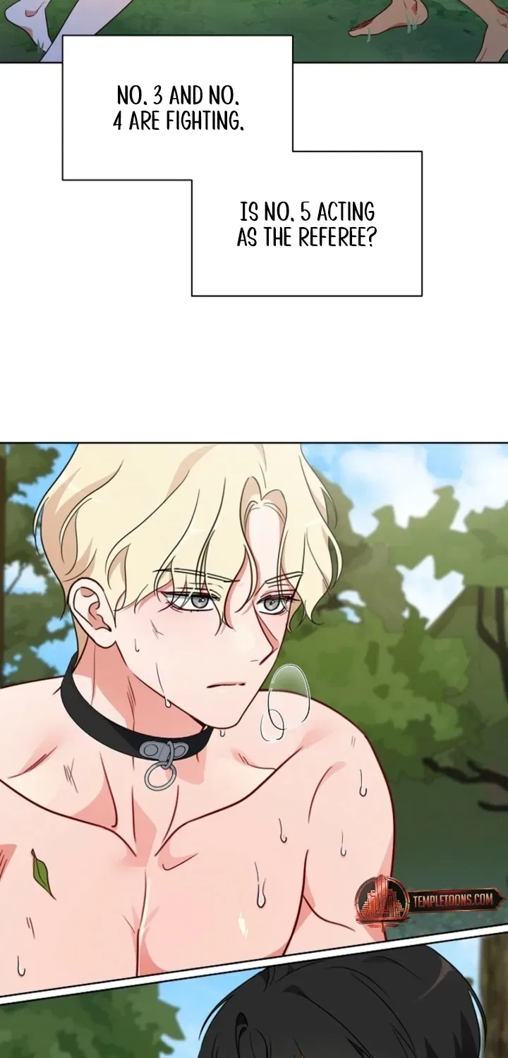 Males In The Breeding Room Chapter 10 – Page 6
