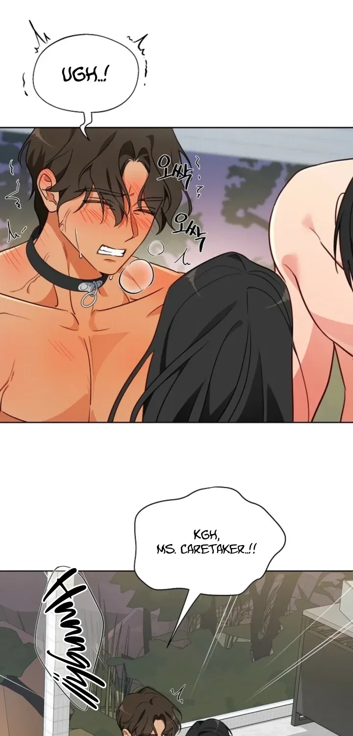 Males In The Breeding Room Chapter 8 – Page 17