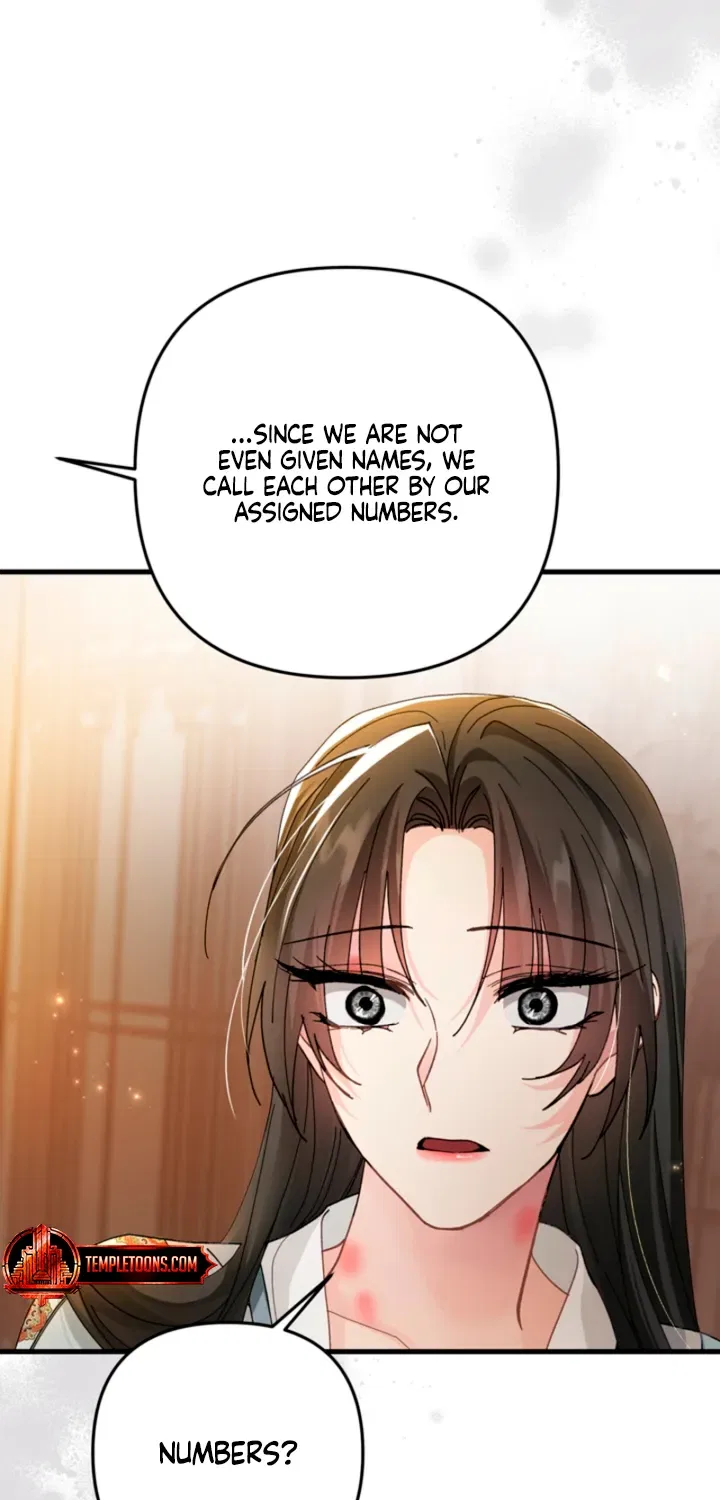 The Land of Abstinence Chapter 34 – Page 8