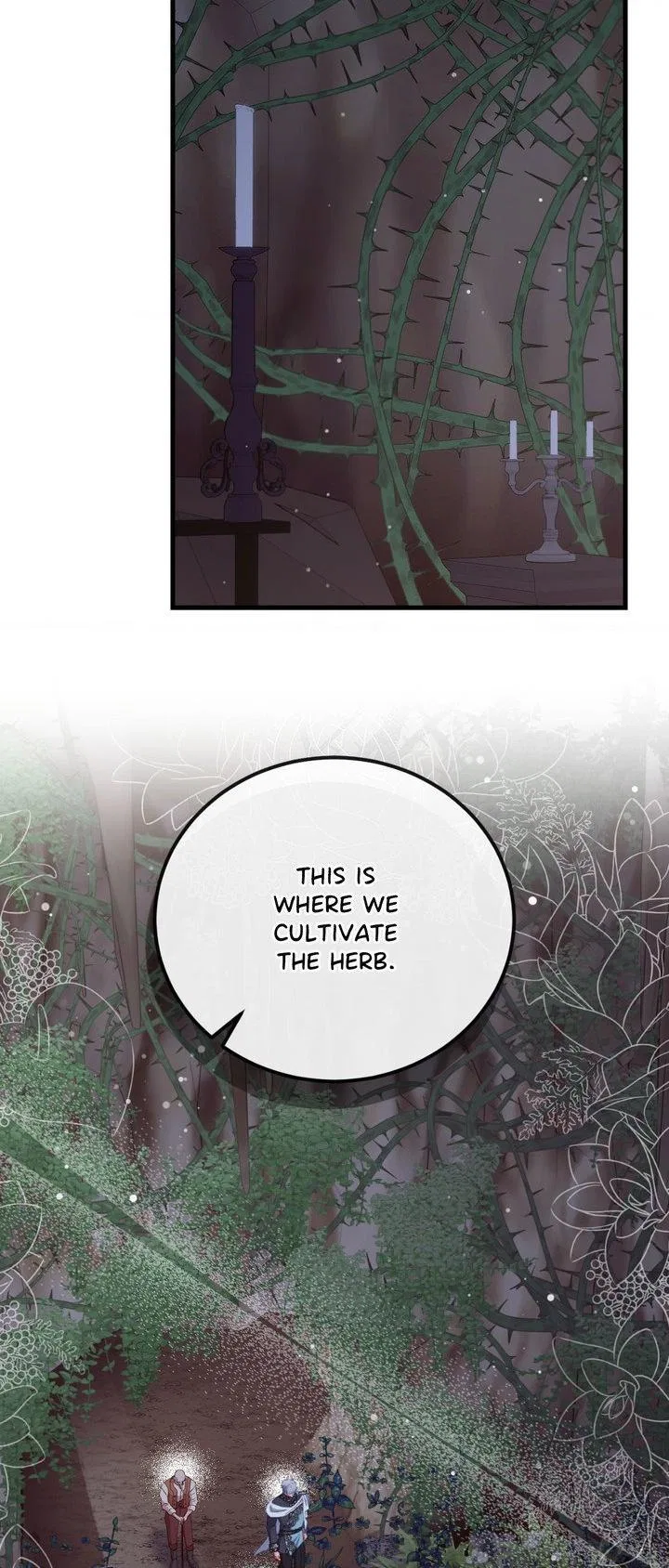 Hunks, Harems, and Hardcore Habits Chapter 53 – Page 44