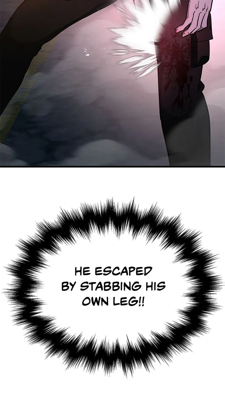 The Heir of Mythological Heroes Chapter 67 – Page 96