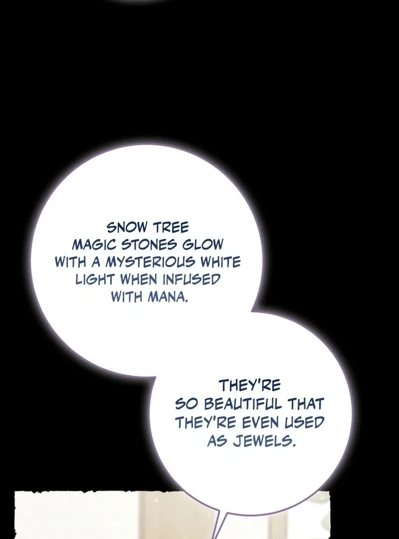 The Unintentionally Ideal Adopted Daughter Chapter 105 – Page 67