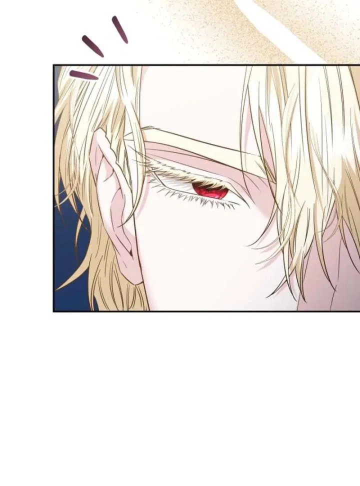 Dear Villainous Husband , the One to be Obsessed with is Over There Chapter 64 – Page 104