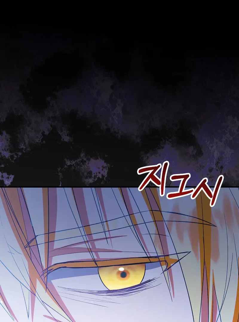 I Don’t Want To Be Duke’s Adopted Daughter-in-law Chapter 85 – Page 13