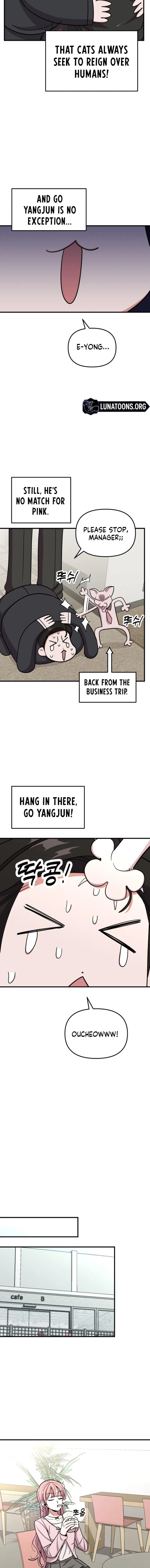 My Boyfriend Is a Cat Chapter 16 – Page 6