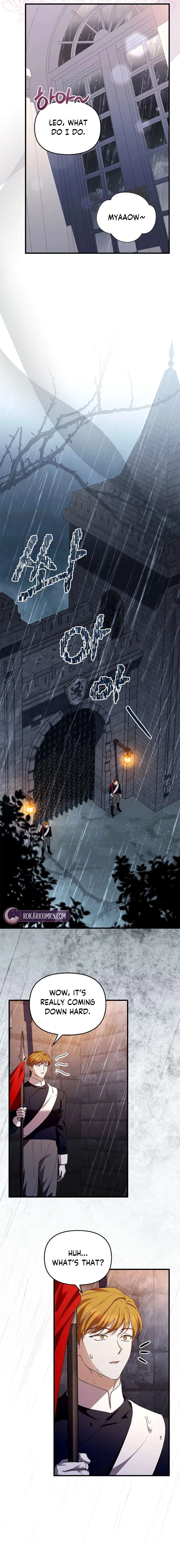 The Countess Who Ran Away Has Returned Chapter 36 – Page 13