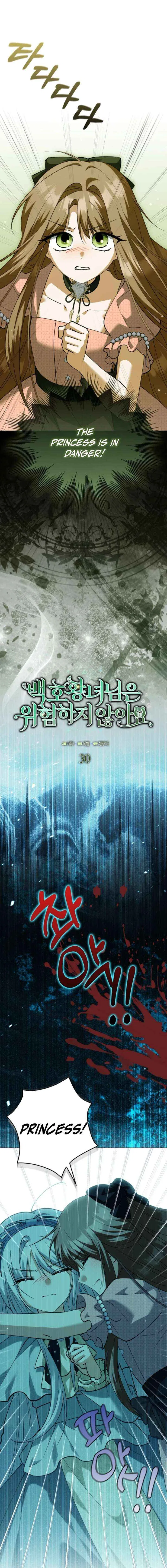 The White Tiger Princess is Not in Danger Chapter 30 – Page 7