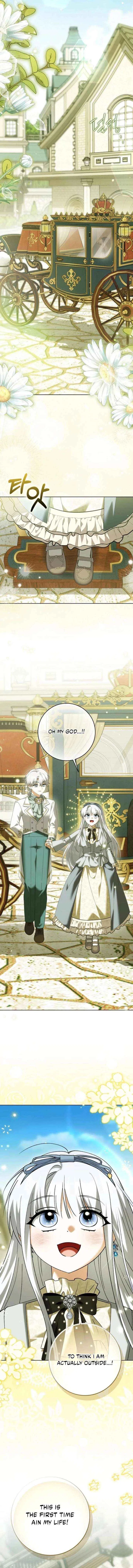 The White Tiger Princess is Not in Danger Chapter 27 – Page 11