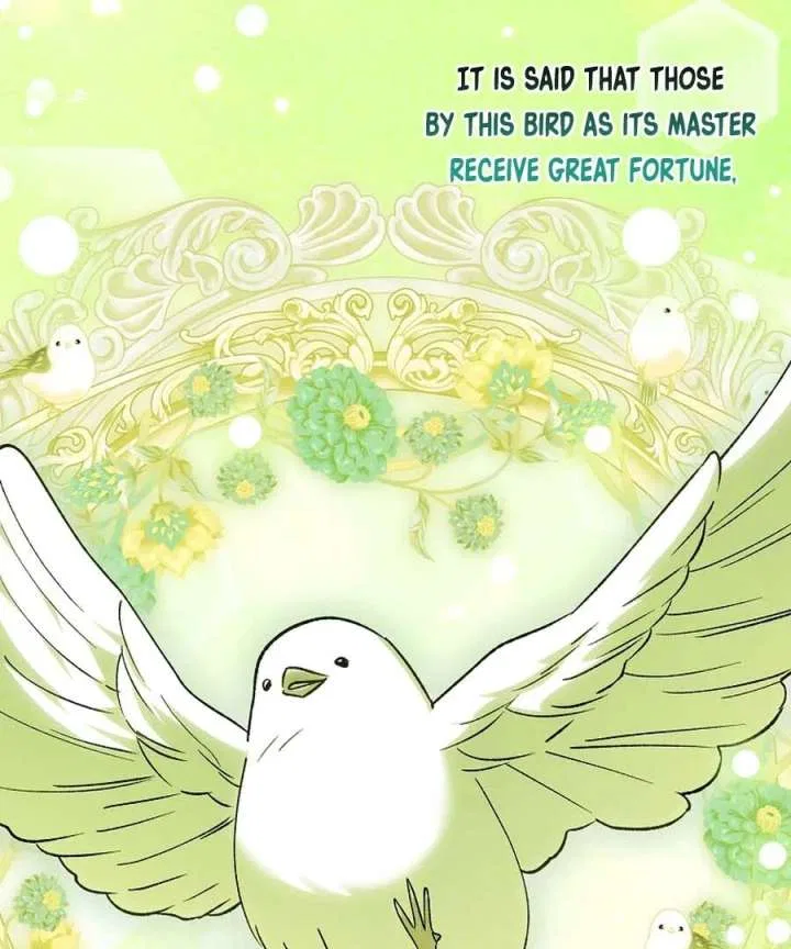 The White Tiger Princess is Not in Danger Chapter 25 – Page 82
