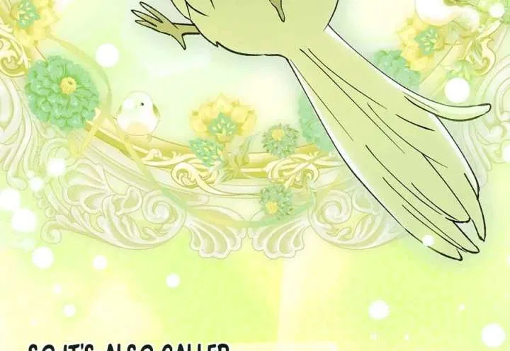 The White Tiger Princess is Not in Danger Chapter 25 – Page 83