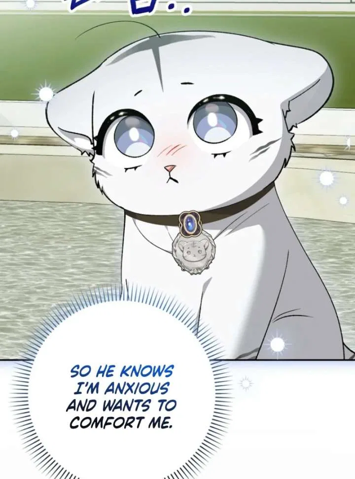 The White Tiger Princess is Not in Danger Chapter 20 – Page 15