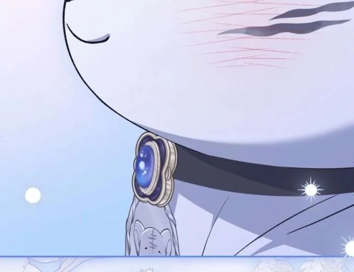 The White Tiger Princess is Not in Danger Chapter 20 – Page 19
