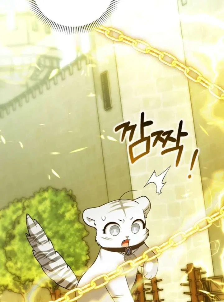 The White Tiger Princess is Not in Danger Chapter 20 – Page 74