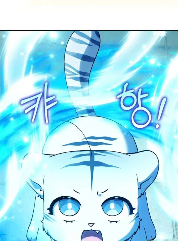 The White Tiger Princess is Not in Danger Chapter 20 – Page 78