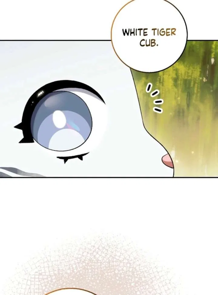 The White Tiger Princess is Not in Danger Chapter 19 – Page 12