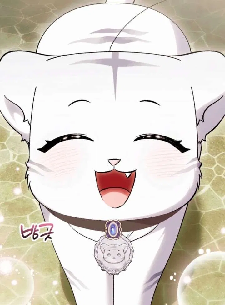 The White Tiger Princess is Not in Danger Chapter 19 – Page 48
