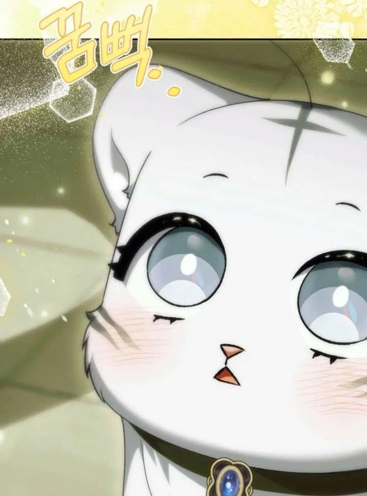 The White Tiger Princess is Not in Danger Chapter 19 – Page 139