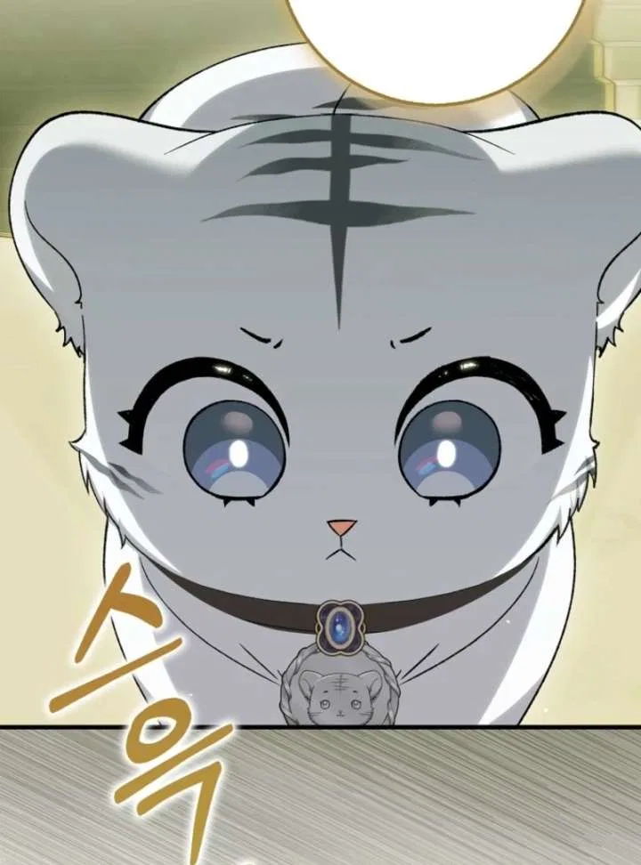 The White Tiger Princess is Not in Danger Chapter 18 – Page 27