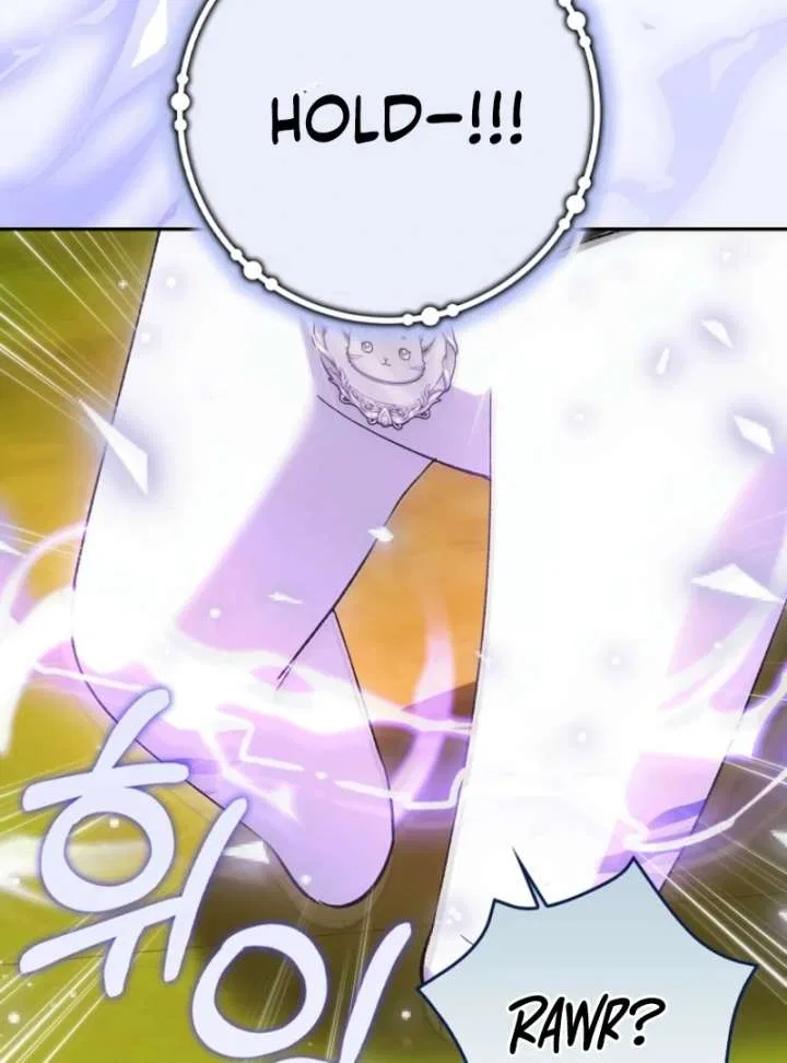 The White Tiger Princess is Not in Danger Chapter 18 – Page 45