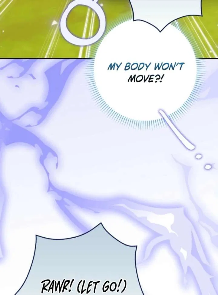 The White Tiger Princess is Not in Danger Chapter 18 – Page 46