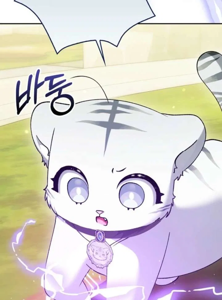 The White Tiger Princess is Not in Danger Chapter 18 – Page 47